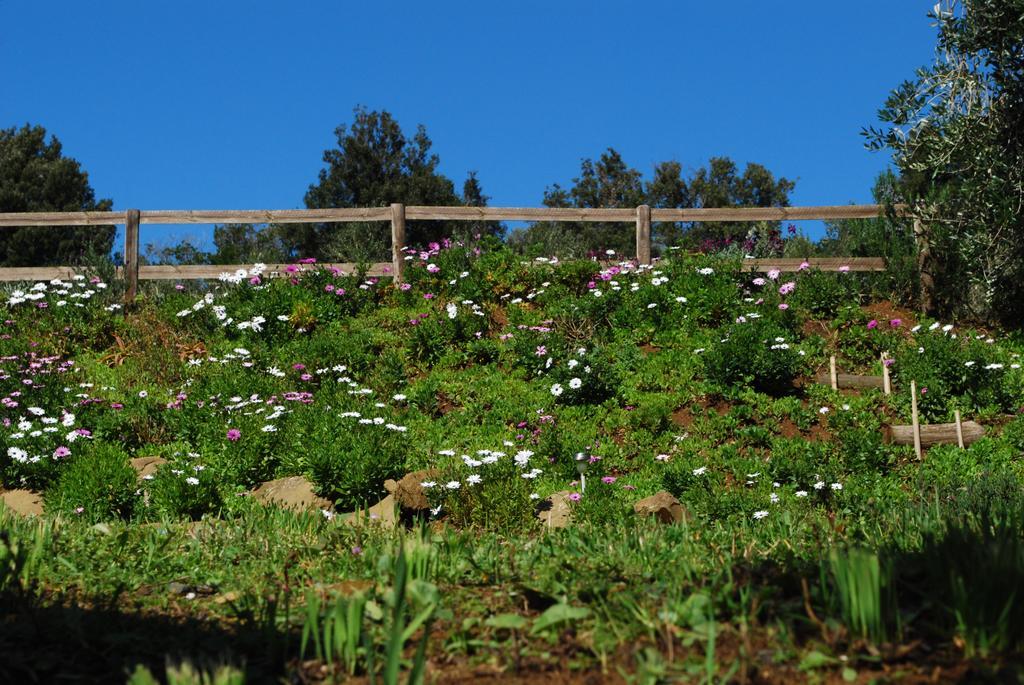 Agriturismo Val Di Nappo Castiglione della Pescaia Εξωτερικό φωτογραφία
